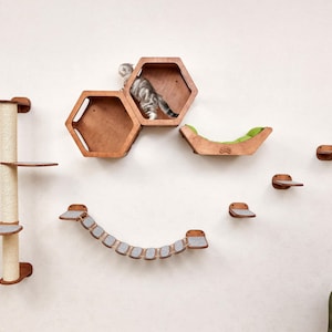 Puede incluir: Un conjunto de muebles para gatos montado en la pared que incluye un rascador, casas para gatos hexagonales, un puente y escalones. El conjunto es de madera con detalles en gris y verde. Un gato atigrado gris explora las casas.