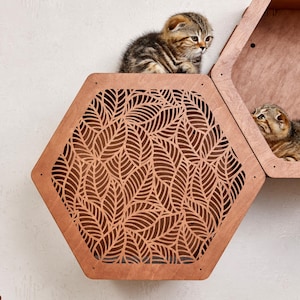 Puede incluir: Muebles para gatos de madera con dise&ntilde;o de panal. Se ven dos gatitos, uno encima del estante con estampado de hojas y el otro dentro del estante adyacente. Los estantes son de color marr&oacute;n c&aacute;lido y est&aacute;n montados en una pared blanca.