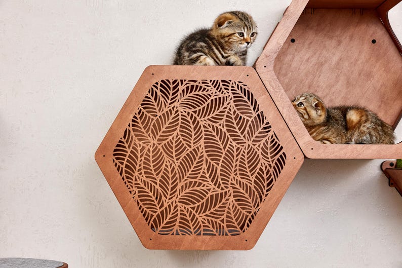 Puede incluir: Muebles para gatos de madera con dise&ntilde;o de panal. Se ven dos gatitos, uno encima del estante con estampado de hojas y el otro dentro del estante adyacente. Los estantes son de color marr&oacute;n c&aacute;lido y est&aacute;n montados en una pared blanca.