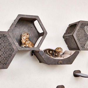 Puede incluir: Un juego de muebles para gatos montado en la pared con m&uacute;ltiples estructuras hexagonales de madera. Dos gatos descansan en las estructuras, uno en una cama y el otro en un cub&iacute;culo. El conjunto incluye una cama, cub&iacute;culos y escalones, todo en un acabado gris oscuro.