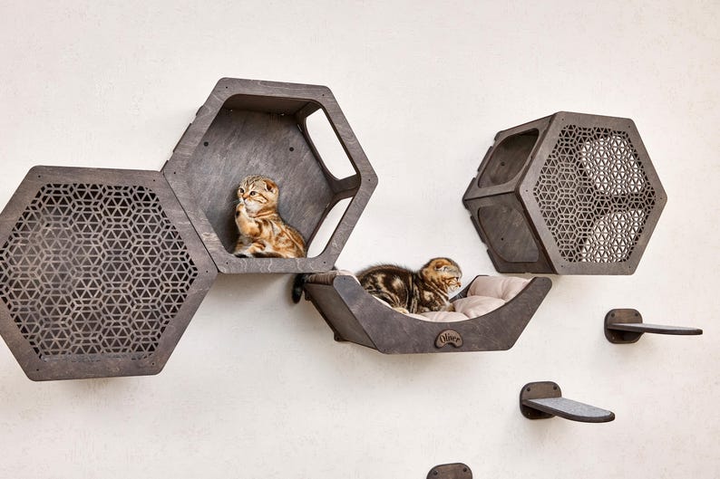 Puede incluir: Un juego de muebles para gatos montado en la pared con m&uacute;ltiples estructuras hexagonales de madera. Dos gatos descansan en las estructuras, uno en una cama y el otro en un cub&iacute;culo. El conjunto incluye una cama, cub&iacute;culos y escalones, todo en un acabado gris oscuro.