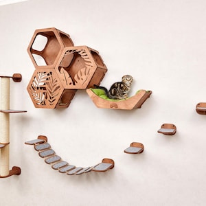 Puede incluir: Un juego de muebles para gatos de madera montado en una pared blanca. El conjunto incluye un rascador, estantes hexagonales con recortes de hojas, una cama para gatos y un puente. Un gato atigrado descansa en la cama.