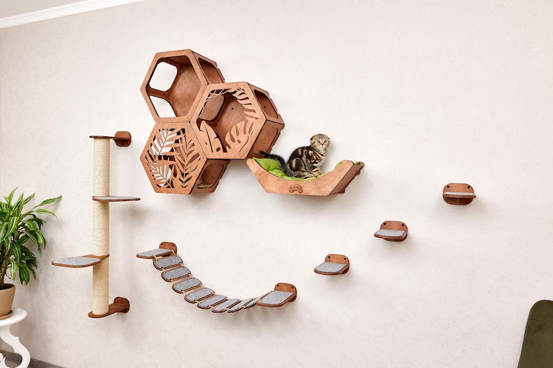 Puede incluir: Un juego de muebles para gatos de madera montado en una pared blanca. El conjunto incluye un rascador, estantes hexagonales con recortes de hojas, una cama para gatos y un puente. Un gato atigrado descansa en la cama.