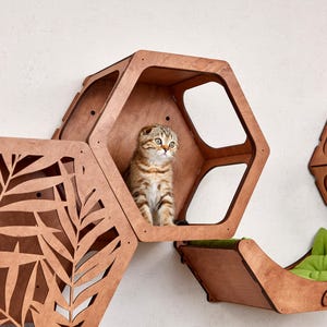 Puede incluir: Juego de muebles para gatos de madera con dise&ntilde;o hexagonal. El juego incluye una cama para gatos con un coj&iacute;n verde y varias estanter&iacute;as murales para gatos. Un gato atigrado est&aacute; sentado en una de las estanter&iacute;as hexagonales.