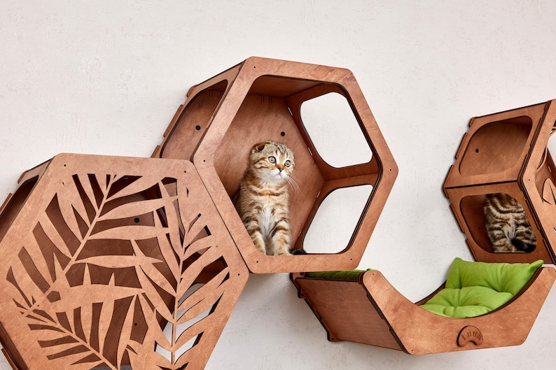 Puede incluir: Juego de muebles para gatos de madera con dise&ntilde;o hexagonal. El juego incluye una cama para gatos con un coj&iacute;n verde y varias estanter&iacute;as murales para gatos. Un gato atigrado est&aacute; sentado en una de las estanter&iacute;as hexagonales.