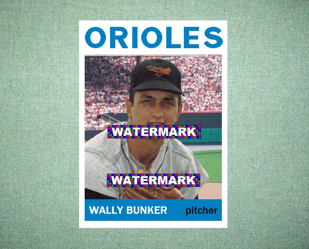 Wally Bunker Baltimore Orioles ORIGINAL card That Could Etsy