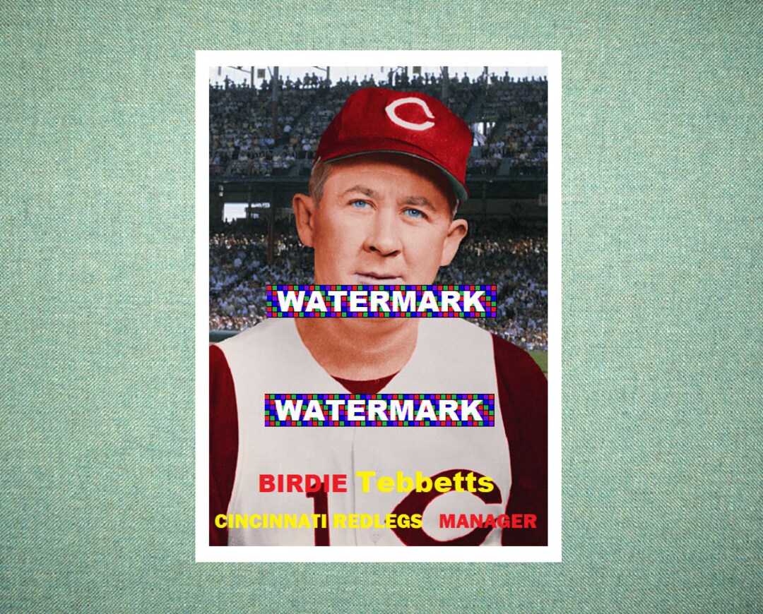 Birdie Tebbetts Cincinnati Redlegs Custom Baseball Card 1957 Etsy