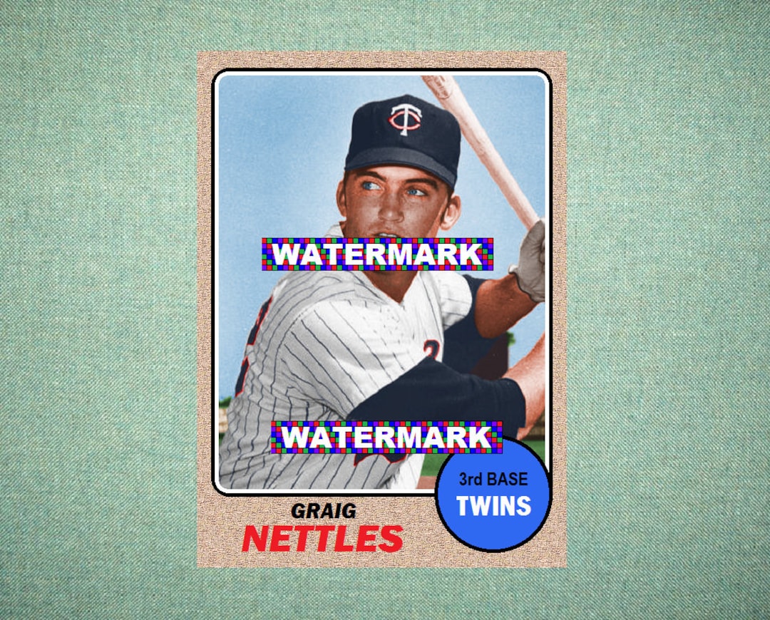Graig Nettles Minnesota Twins ORIGINAL card That Could 