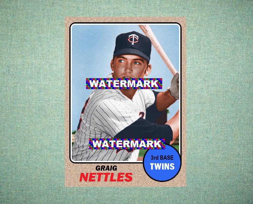 graig nettles baseball card