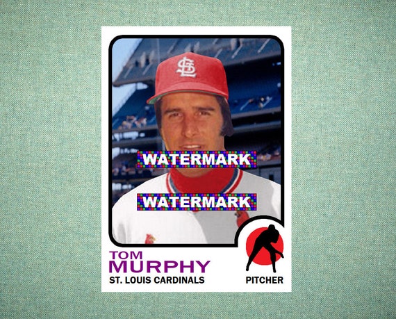 St. Louis Cardinals Men's Business Card Wallet
