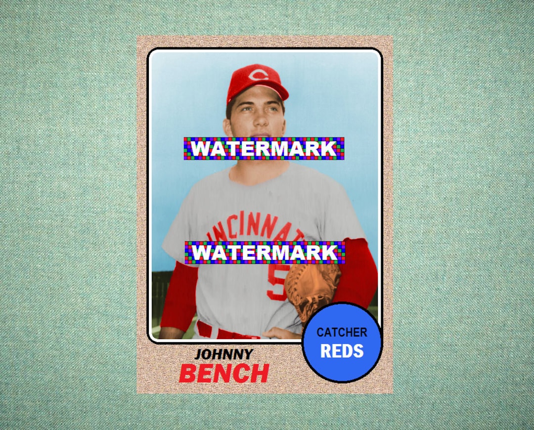 Johnny Bench Cincinnati Reds ORIGINAL card That Could 