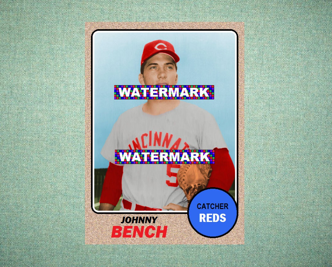 Johnny Bench Cincinnati Reds ORIGINAL card That Could 