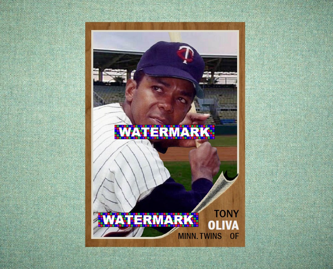 twins baseball card