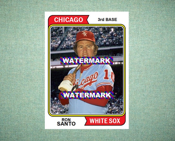 ron santo white sox jersey