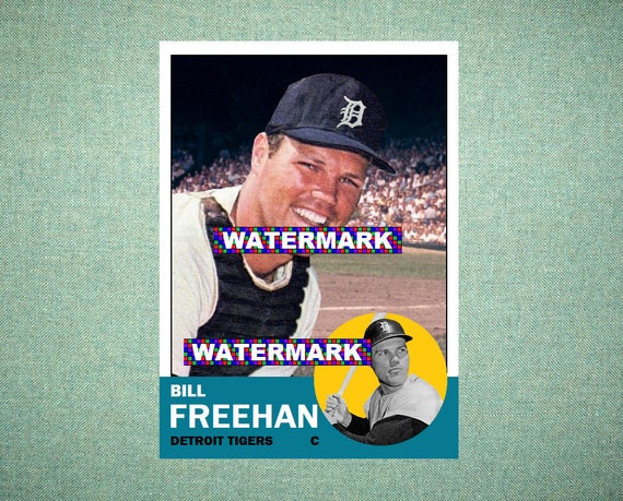 bill freehan detroit tigers