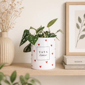 Può includere: Un vaso di ceramica bianco con cuori rossi e la scritta "TATA d'amour" in un quadrato nero. Il vaso contiene una pianta verde con foglie maculate. Un quadro incorniciato e dei libri sono sullo sfondo.