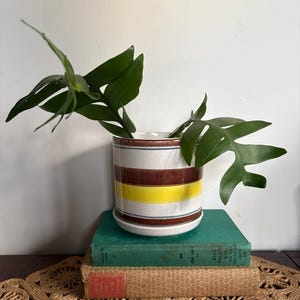 May include: A striped ceramic plant pot in brown, yellow, and white, containing green foliage. The pot rests on a matching saucer, placed on two vintage books and a woven placemat.