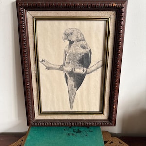 May include: A framed pencil drawing of a parrot perched on a branch. The artwork is in a dark brown wooden frame with a gold inner border. The drawing is in shades of grey and black, set against a light beige background.