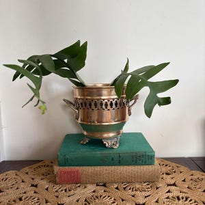 May include: A brass planter with a green base and decorative features, containing green leafy plants. The planter is placed on two vintage books, resting on a woven jute placemat, creating a vintage aesthetic.