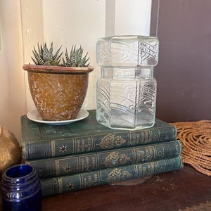 May include: A clear glass canister with a geometric, faceted shape and embossed diagonal line patterns, positioned next to a small potted succulent in a speckled brown ceramic pot, both resting on a stack of three dark green vintage books.
