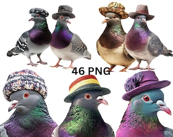 Funny Pigeon Clipart Bundle, 46 PNG Pigeons with Hats, Cute Bird Clipart, Funny Animal PNG, Instant Download, Commercial Use