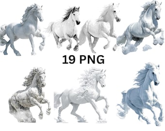 Weißes Pferd Clipart PNG Bündel | Elegant & Majestätisch Pferde | Transparenter Hintergrund | Sofortdownload | Kommerzielle Nutzung