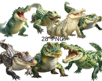 Crocodile Clipart PNG Bundle | Wild Animal Illustration | Transparent Background | Instant Download | Commercial Use