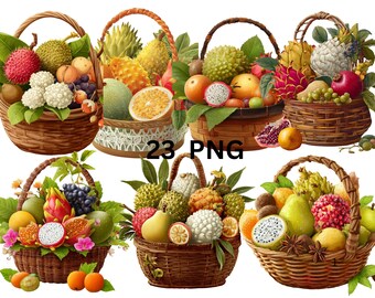 Fruktkorg Clipart-paket, 23 PNG exotiska frukter, tropisk mat Clipart, realistisk fruktillustration PNG, omedelbar nedladdning