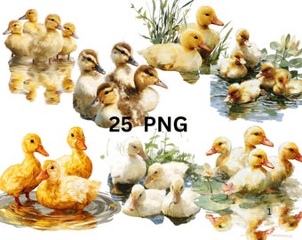 Duckling Clipart Bundle, 25 PNG Baby Ducks, Cute Watercolor Ducklings, Farm Animal Clipart, Spring Animal PNG, Instant Download