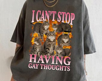 May include: A charcoal gray short-sleeve t-shirt featuring a graphic print of five tabby cats against a background of orange flames. The text "I CAN'T STOP" appears in pink above the cats, and "HAVING GAY THOUGHTS" is printed in pink below.