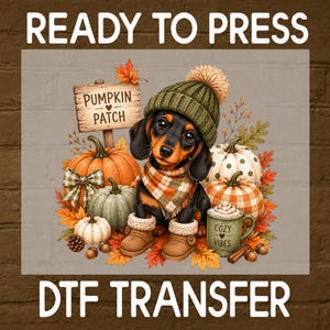 May include: A DTF transfer featuring a dachshund wearing a green knit hat, a plaid scarf, and tan boots. The dog is surrounded by pumpkins, autumn leaves, and a green mug labeled COZY VIBES. A wooden sign reads PUMPKIN PATCH. Text reads READY TO PRESS.