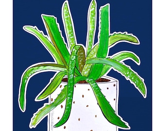 Planta de interior de aloe vera