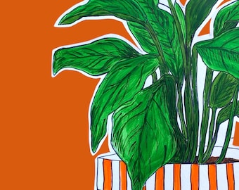 Peace Lily Houseplant