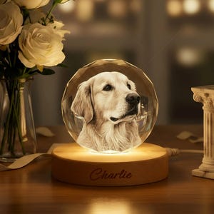 Personligt 3D-kristallfotoporträtt med LED, 3D-kristallfoto, graverat kristallfoto med ljus, julklapp till henne/honom, årsdagspresent bild 6