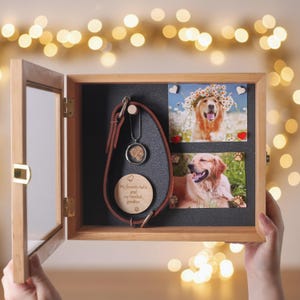 Pu&ograve; includere: Una scatola commemorativa in legno per animali domestici con porta in vetro, contenente un collare in pelle marrone, un ciondolo con la foto di un cane e due foto di un golden retriever. All'interno c'&egrave; anche un disco di legno con testo. La scatola &egrave; aperta.
