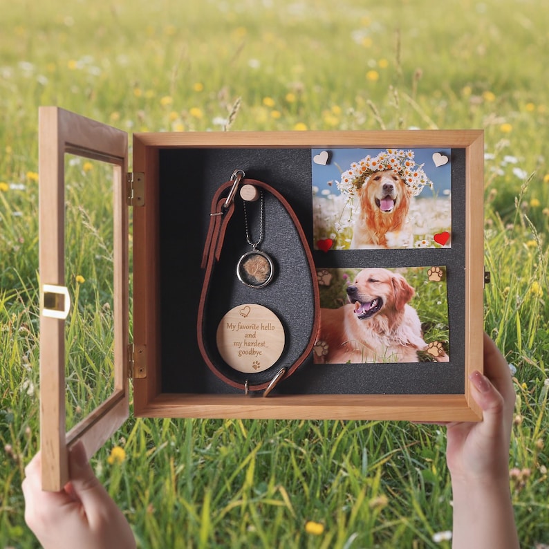Pu&ograve; includere: Una scatola commemorativa in legno per animali domestici con porta in vetro, che mostra un collare in pelle per cani, un ciondolo e due foto di un golden retriever. La scatola include il testo "My favorite hello and my hardest goodbye."