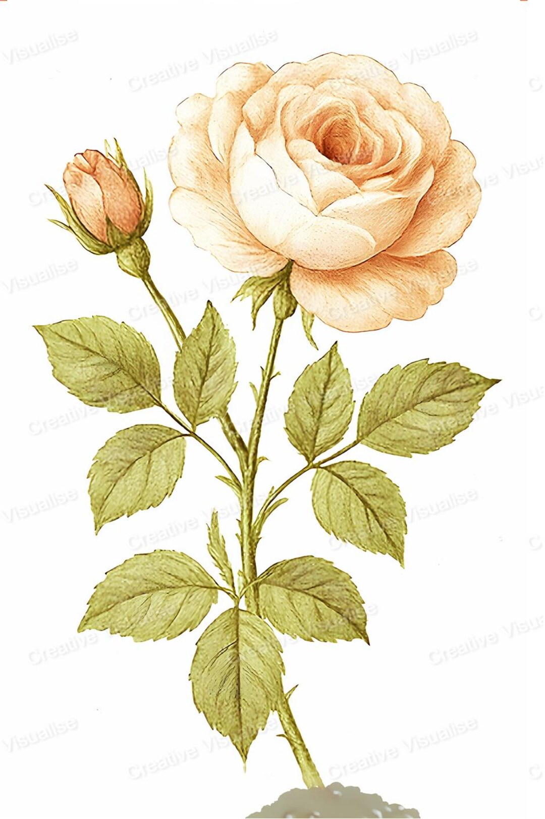 Vintage Botanical Rose Painting Style Printable Wall Art Antique Floral ...