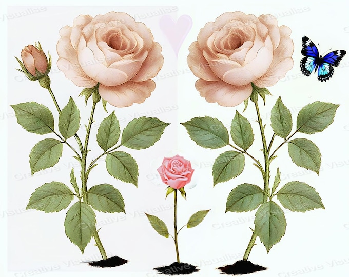 Vintage Botanical Three Roses with Butterfly Painting Style Printable Wall Art Floral Decor
