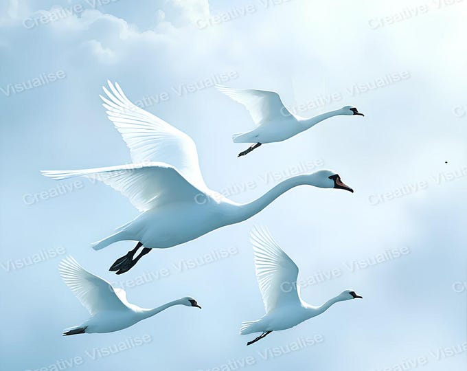 Swans Flying in Sky Printable Wall Art Elegant Birds Digital Download Nature Home Decor