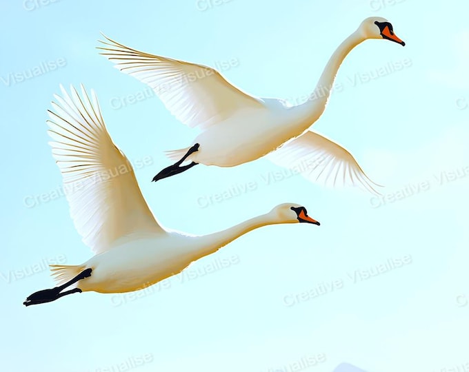Swans in Flight Wall Art Printable | Elegant Nature Digital Download PDF & PNG