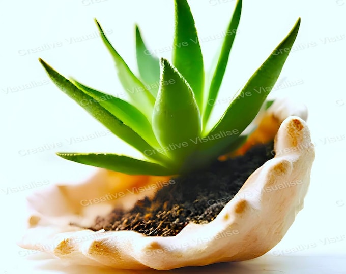 Green Houseplant in Seashell Pot Printable Wall Art Indoor Plant Digital Download Decor