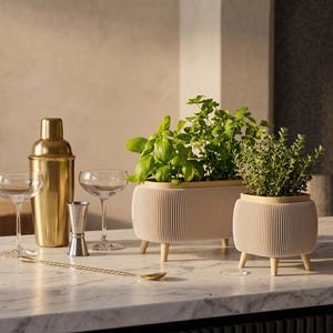 Può includere: Uno shaker dorato, un misurino argentato, un cucchiaio da bar dorato, due calici trasparenti e due vasi beige a coste con quattro piedini ciascuno, contenenti erbe verdi come basilico e timo su una superficie di marmo bianco.