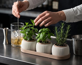 Minimalist Triple Planter Set with Drainage Tray