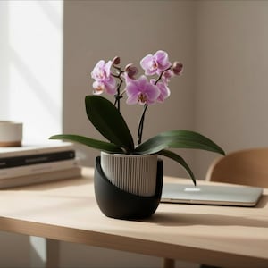 Pode incluir: Uma orquídea em vaso com flores roxas claras e folhas verdes. A planta está em um vaso de cerâmica listrado preso por um suporte preto. O vaso está em uma superfície de madeira clara, com um laptop e livros ao fundo.