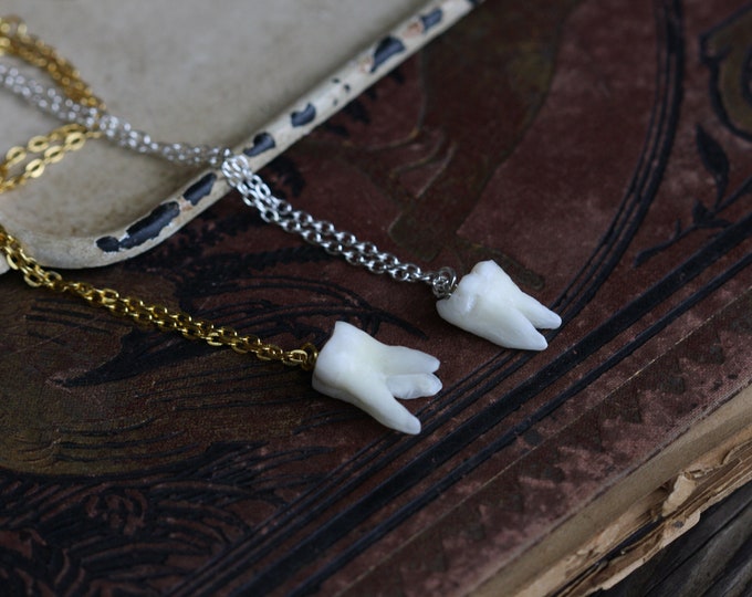 Snaggle Tooth Necklace