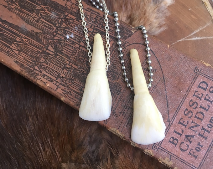 Unisex Simple Buffalo Tooth Necklace (choose your own chain)