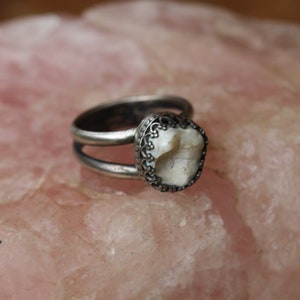 Single Tooth Ornate Ring (Made in your size)