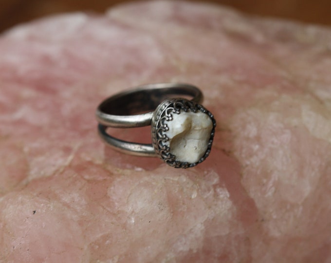 Single Tooth Ornate Ring (Made in your size)