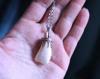 Unisex Buffalo Tooth talisman Necklace
