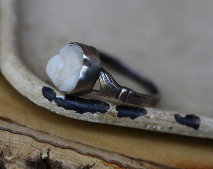 Lover’s Hand Single Tooth Ring (Made in your size)